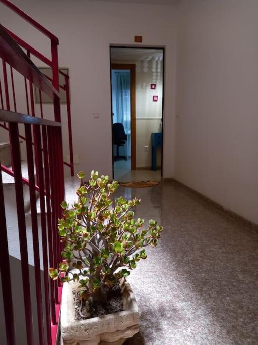 Apartamento Tranquilo Cerca De Zonas Verdes Сьеса Экстерьер фото