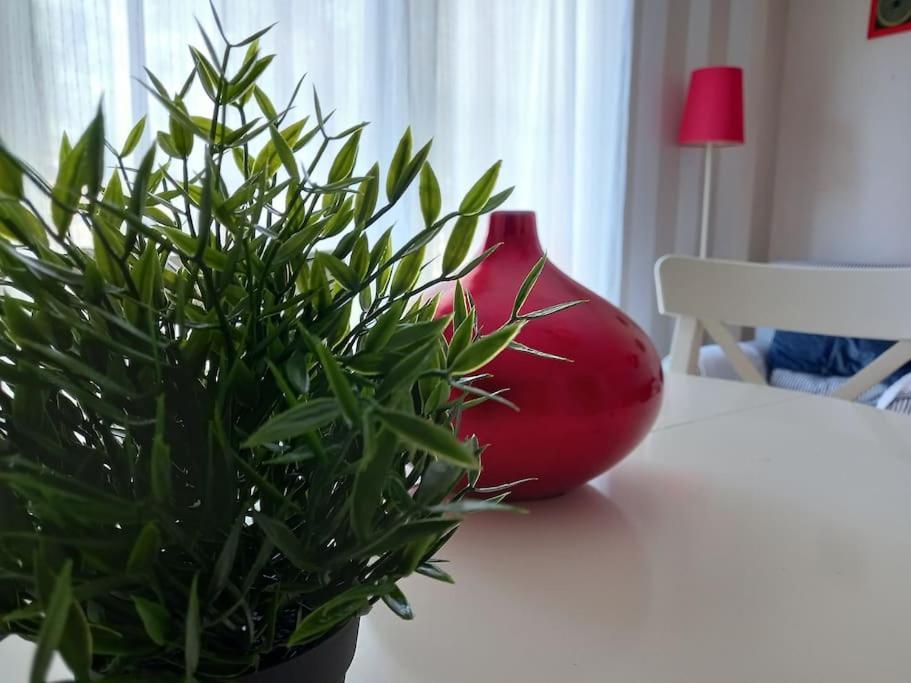 Apartamento Tranquilo Cerca De Zonas Verdes Сьеса Экстерьер фото